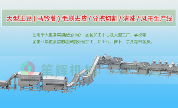 阳曲连续式土豆去皮清洗切割风干生产线